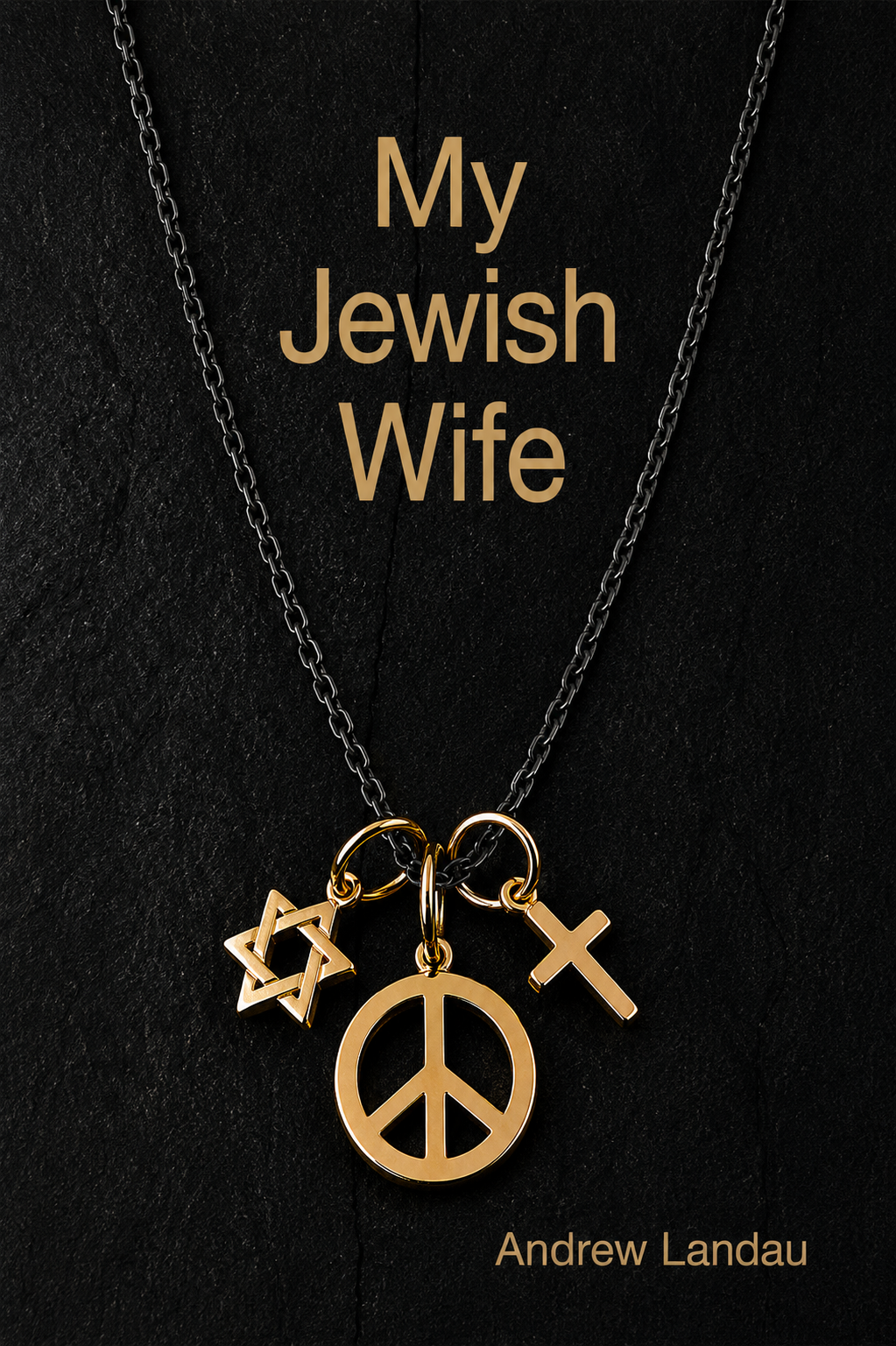 My Jewish Wife by Andrew Landau book cover